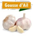 AIL FRAIS NON DECORTIQUE