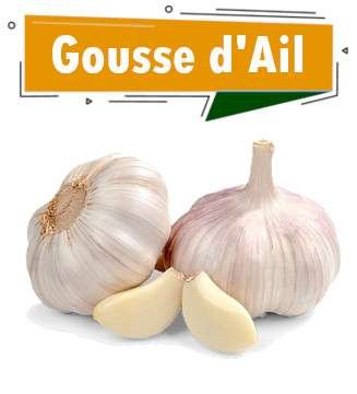 AIL FRAIS NON DECORTIQUE