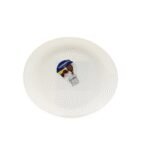 ASSIETTE A STEACK 30CM LUMINARC