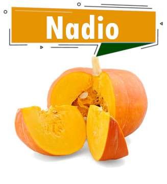 NADIO (COURGE)