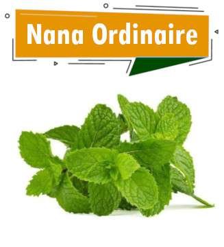 NANA ORDINAIRE