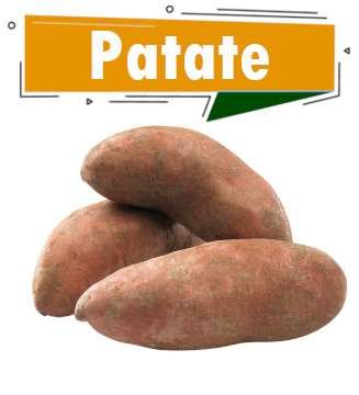 PATATE DOUCE