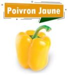 POIVRON JAUNE