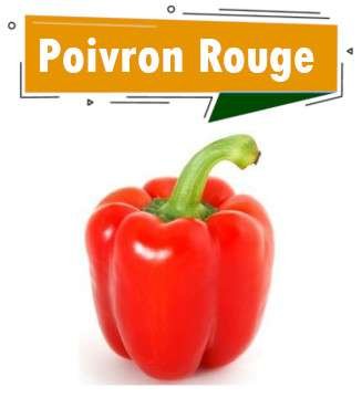 POIVRON ROUGE