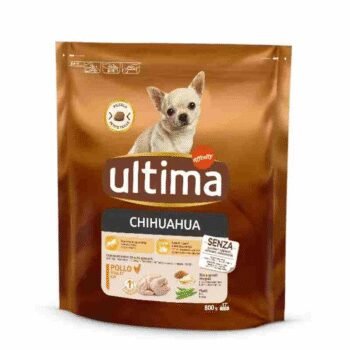 Ultima Croquettes Chihuahua Chiens Poulet Riz Céréales Complètes Format 800g