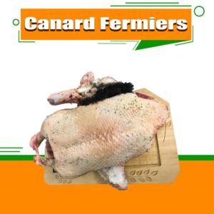 Canard fermier