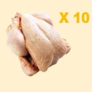 Pack de 10 poulets 1,7 à 2kg