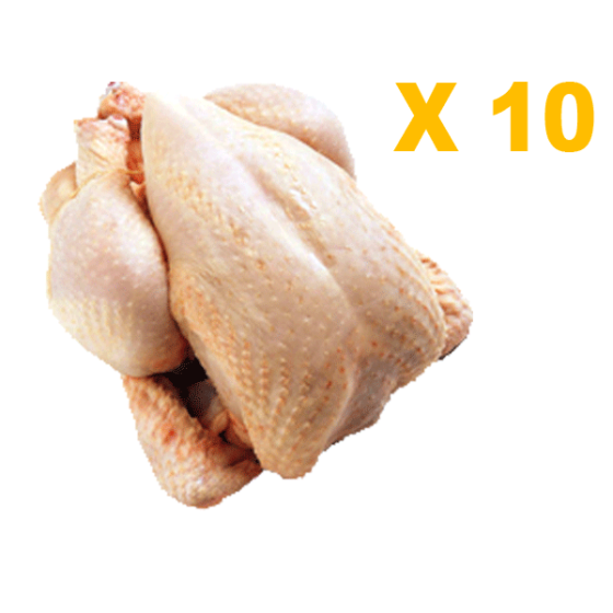 Pack de 10 poulets 1,7 à 2kg