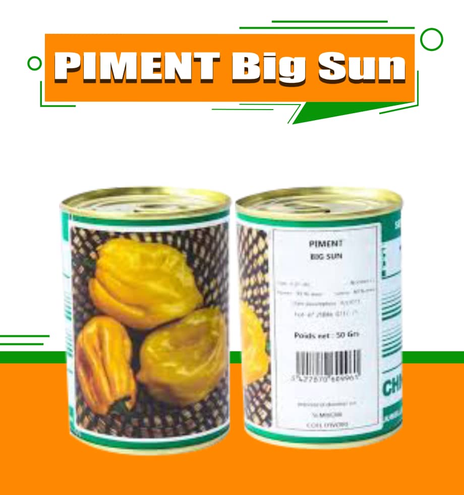 Piment Big Sun