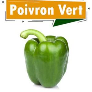 POIVRON VERT