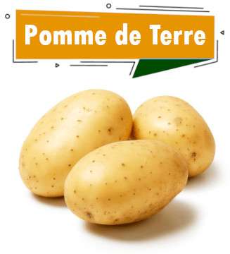 POMME DE TERRE
